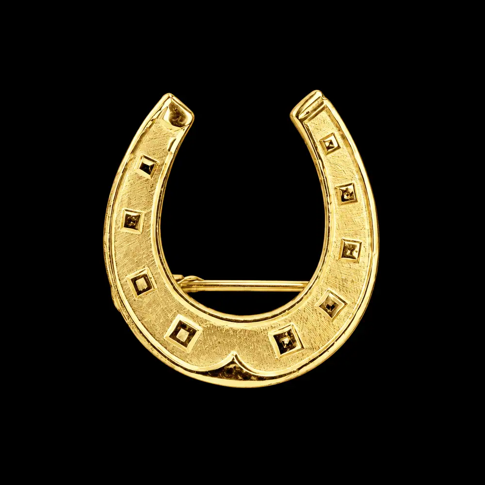 Golden Needle London Horseshoe Brooch
