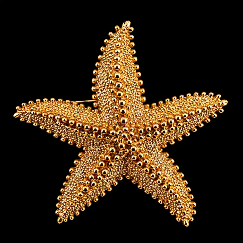 Golden Needle London Starfish Brooch